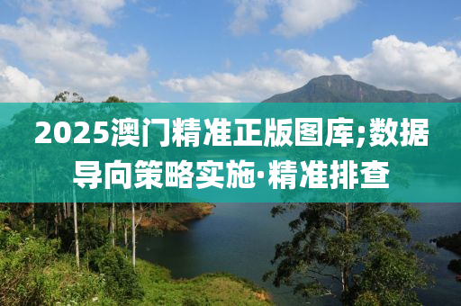 2025澳門精準正版圖庫;數(shù)據(jù)導向策略實施·精準排查