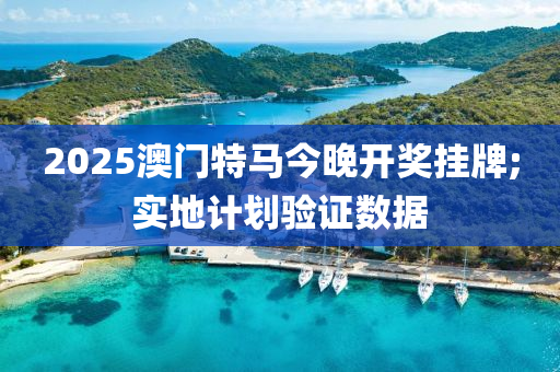 2025澳門特馬今晚開獎(jiǎng)掛牌;實(shí)地計(jì)劃驗(yàn)證數(shù)據(jù)