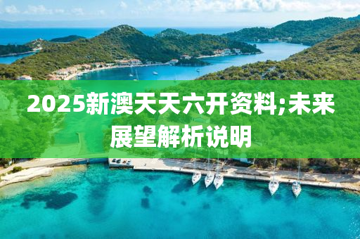 2025新澳天天六開資料;未來展望解析說明