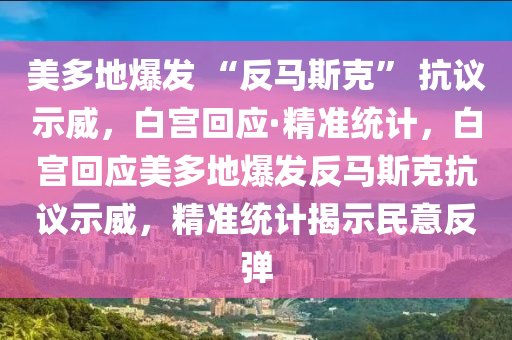 美多地爆發(fā) “反馬斯克” 抗議示威，白宮回應(yīng)·精準(zhǔn)統(tǒng)計(jì)，白宮回應(yīng)美多地爆發(fā)反馬斯克抗議示威，精準(zhǔn)統(tǒng)計(jì)揭示民意反彈