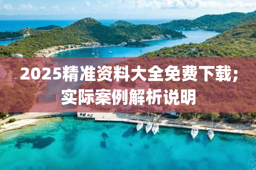 2025精準資料大全免費下載;實際案例解析說明