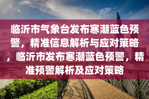 臨沂市氣象臺發(fā)布寒潮藍色預警，精準信息解析與應對策略，臨沂市發(fā)布寒潮藍色預警，精準預警解析及應對策略