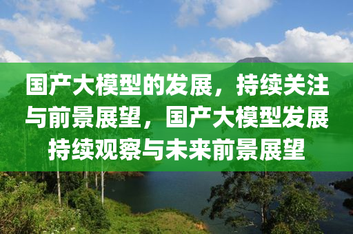 國產(chǎn)大模型的發(fā)展，持續(xù)關(guān)注與前景展望，國產(chǎn)大模型發(fā)展持續(xù)觀察與未來前景展望