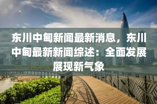 東川中甸新聞最新消息，東川中甸最新新聞綜述：全面發(fā)展展現(xiàn)新氣象