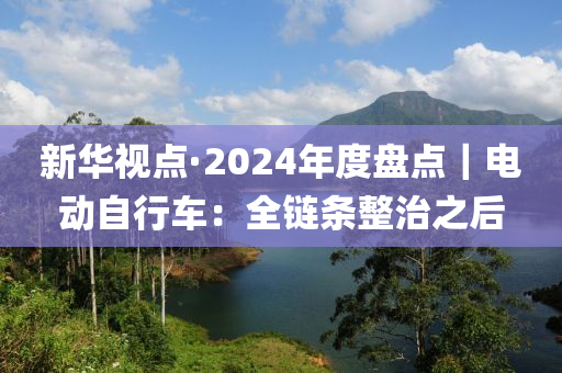 新華視點·2024年度盤點｜電動自行車：全鏈條整治之后