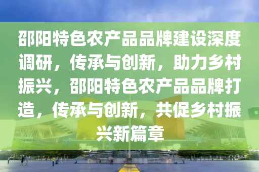 邵陽特色農(nóng)產(chǎn)品品牌建設(shè)深度調(diào)研，傳承與創(chuàng)新，助力鄉(xiāng)村振興，邵陽特色農(nóng)產(chǎn)品品牌打造，傳承與創(chuàng)新，共促鄉(xiāng)村振興新篇章