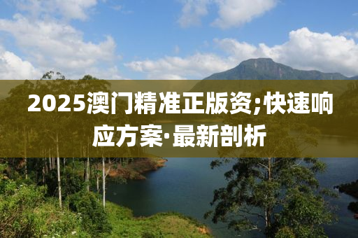 2025澳門精準(zhǔn)正版資;快速響應(yīng)方案·最新剖析