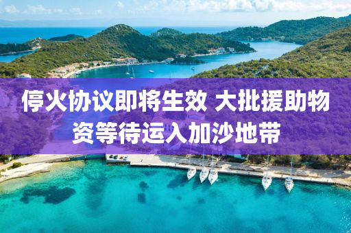 ?；饏f(xié)議即將生效 大批援助物資等待運入加沙地帶