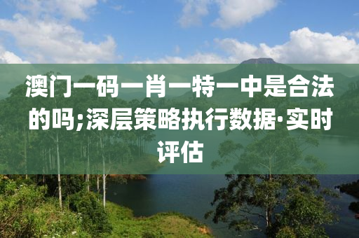 澳門一碼一肖一特一中是合法的嗎;深層策略執(zhí)行數(shù)據(jù)·實(shí)時評估