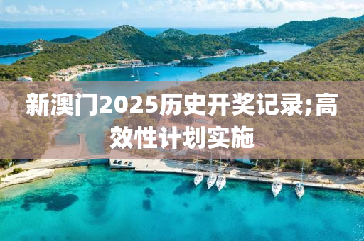 新澳門2025歷史開獎記錄;高效性計劃實施