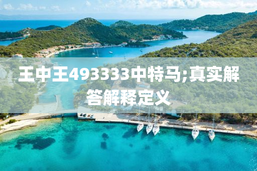 王中王493333中特馬;真實(shí)解答解釋定義