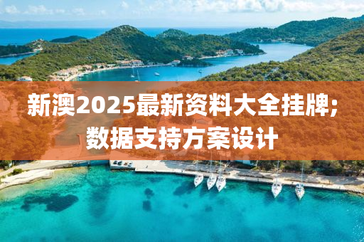 新澳2025最新資料大全掛牌;數(shù)據(jù)支持方案設(shè)計