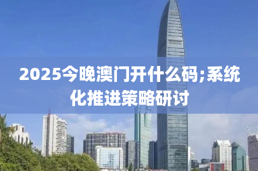 2025今晚澳門開什么碼;系統(tǒng)化推進(jìn)策略研討