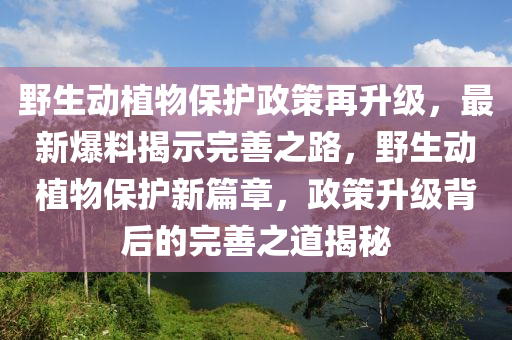 野生動(dòng)植物保護(hù)政策再升級，最新爆料揭示完善之路，野生動(dòng)植物保護(hù)新篇章，政策升級背后的完善之道揭秘