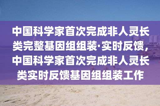 中國科學(xué)家首次完成非人靈長類完整基因組組裝·實時反饋，中國科學(xué)家首次完成非人靈長類實時反饋基因組組裝工作