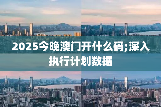 2025今晚澳門開(kāi)什么碼;深入執(zhí)行計(jì)劃數(shù)據(jù)