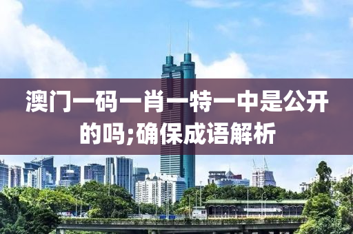 澳門一碼一肖一特一中是公開的嗎;確保成語(yǔ)解析