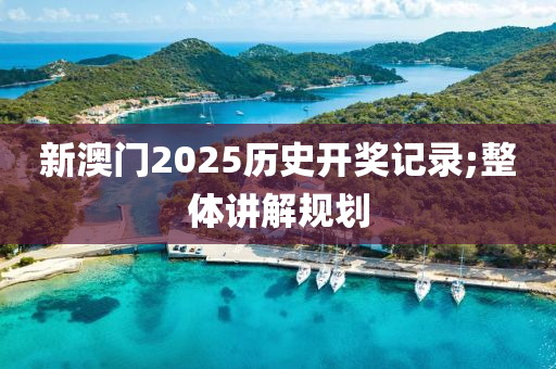 新澳門2025歷史開獎記錄;整體講解規(guī)劃