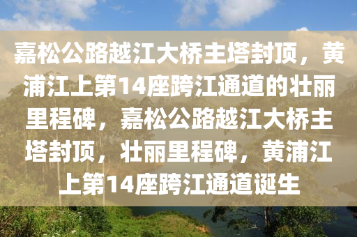 嘉松公路越江大橋主塔封頂，黃浦江上第14座跨江通道的壯麗里程碑，嘉松公路越江大橋主塔封頂，壯麗里程碑，黃浦江上第14座跨江通道誕生