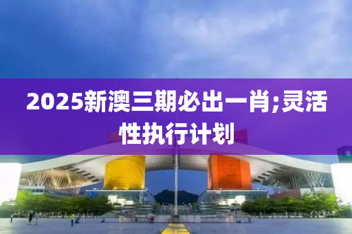 2025新澳三期必出一肖;靈活性執(zhí)行計劃