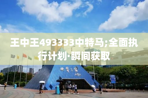 王中王493333中特馬;全面執(zhí)行計劃·瞬間獲取