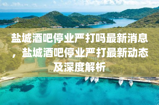 鹽城酒吧停業(yè)嚴打嗎最新消息，鹽城酒吧停業(yè)嚴打最新動態(tài)及深度解析