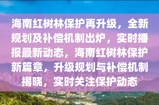 海南紅樹林保護再升級，全新規(guī)劃及補償機制出爐，實時播報最新動態(tài)，海南紅樹林保護新篇章，升級規(guī)劃與補償機制揭曉，實時關(guān)注保護動態(tài)