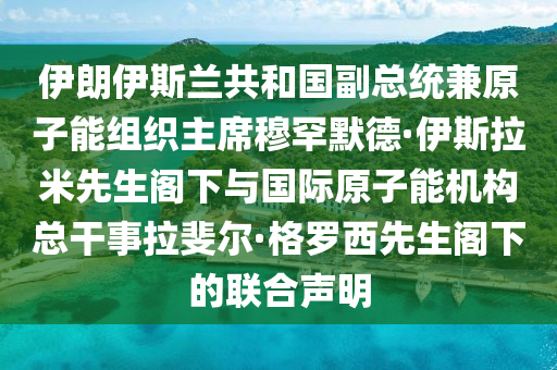 伊朗伊斯蘭共和國(guó)副總統(tǒng)兼原子能組織主席穆罕默德·伊斯拉米先生閣下與國(guó)際原子能機(jī)構(gòu)總干事拉斐爾·格羅西先生閣下的聯(lián)合聲明