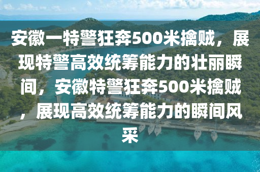 安徽一特警狂奔500米擒賊，展現(xiàn)特警高效統(tǒng)籌能力的壯麗瞬間，安徽特警狂奔500米擒賊，展現(xiàn)高效統(tǒng)籌能力的瞬間風(fēng)采