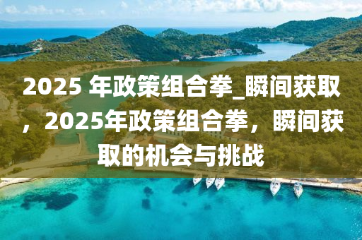 2025 年政策組合拳_瞬間獲取，2025年政策組合拳，瞬間獲取的機(jī)會(huì)與挑戰(zhàn)