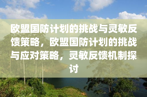 歐盟國防計劃的挑戰(zhàn)與靈敏反饋策略，歐盟國防計劃的挑戰(zhàn)與應(yīng)對策略，靈敏反饋機制探討