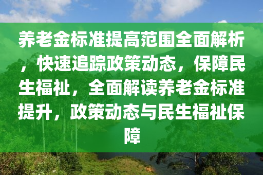 養(yǎng)老金標準提高范圍全面解析，快速追蹤政策動態(tài)，保障民生福祉，全面解讀養(yǎng)老金標準提升，政策動態(tài)與民生福祉保障