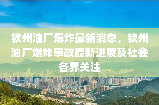 欽州油廠爆炸最新消息，欽州油廠爆炸事故最新進(jìn)展及社會(huì)各界關(guān)注