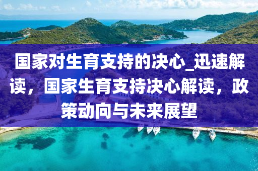 國家對生育支持的決心_迅速解讀，國家生育支持決心解讀，政策動向與未來展望