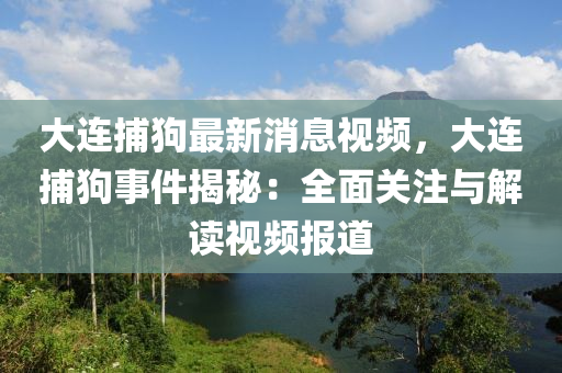 大連捕狗最新消息視頻，大連捕狗事件揭秘：全面關(guān)注與解讀視頻報(bào)道