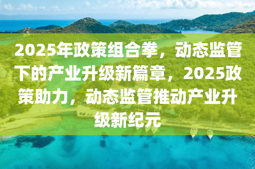 2025年政策組合拳，動態(tài)監(jiān)管下的產(chǎn)業(yè)升級新篇章，2025政策助力，動態(tài)監(jiān)管推動產(chǎn)業(yè)升級新紀(jì)元