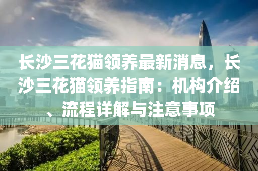 長沙三花貓領(lǐng)養(yǎng)最新消息，長沙三花貓領(lǐng)養(yǎng)指南：機(jī)構(gòu)介紹、流程詳解與注意事項(xiàng)