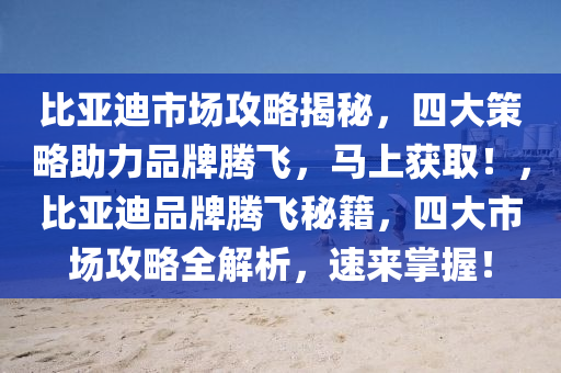 比亞迪市場攻略揭秘，四大策略助力品牌騰飛，馬上獲??！，比亞迪品牌騰飛秘籍，四大市場攻略全解析，速來掌握！