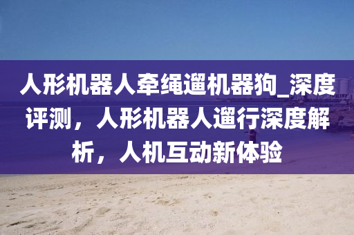 人形機器人牽繩遛機器狗_深度評測，人形機器人遛行深度解析，人機互動新體驗