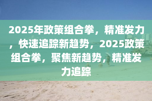 2025年政策組合拳，精準(zhǔn)發(fā)力，快速追蹤新趨勢(shì)，2025政策組合拳，聚焦新趨勢(shì)，精準(zhǔn)發(fā)力追蹤