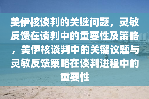 美伊核談判的關(guān)鍵問題，靈敏反饋在談判中的重要性及策略，美伊核談判中的關(guān)鍵議題與靈敏反饋策略在談判進(jìn)程中的重要性