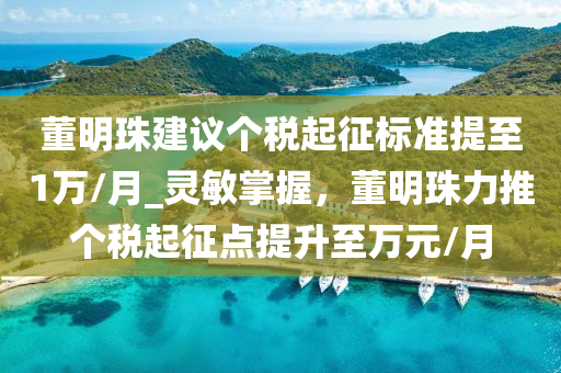 董明珠建議個稅起征標準提至1萬/月_靈敏掌握，董明珠力推個稅起征點提升至萬元/月