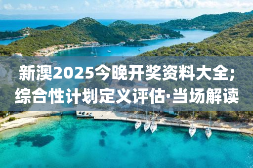 新澳2025今晚開獎資料大全;綜合性計劃定義評估·當(dāng)場解讀