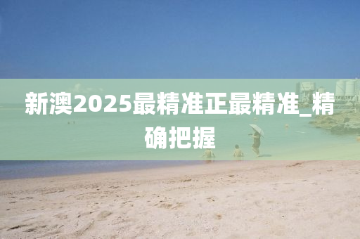 新澳2025最精準正最精準_精確把握