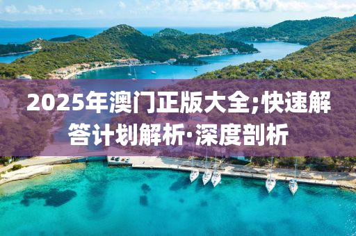 2025年澳門正版大全;快速解答計(jì)劃解析·深度剖析