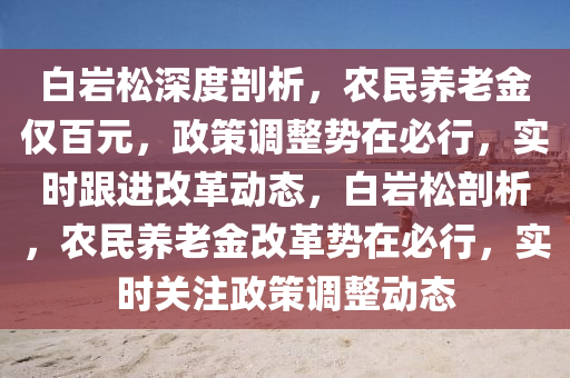 白巖松深度剖析，農民養(yǎng)老金僅百元，政策調整勢在必行，實時跟進改革動態(tài)，白巖松剖析，農民養(yǎng)老金改革勢在必行，實時關注政策調整動態(tài)