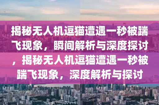 揭秘?zé)o人機逗貓遭遇一秒被踹飛現(xiàn)象，瞬間解析與深度探討，揭秘?zé)o人機逗貓遭遇一秒被踹飛現(xiàn)象，深度解析與探討