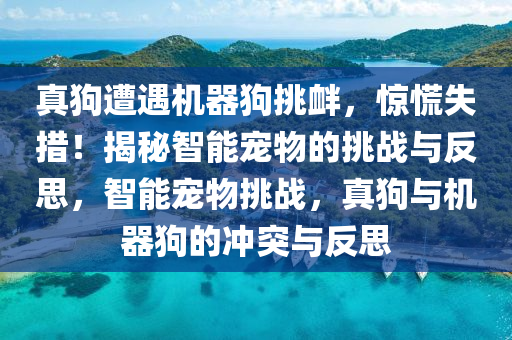 真狗遭遇機器狗挑釁，驚慌失措！揭秘智能寵物的挑戰(zhàn)與反思，智能寵物挑戰(zhàn)，真狗與機器狗的沖突與反思