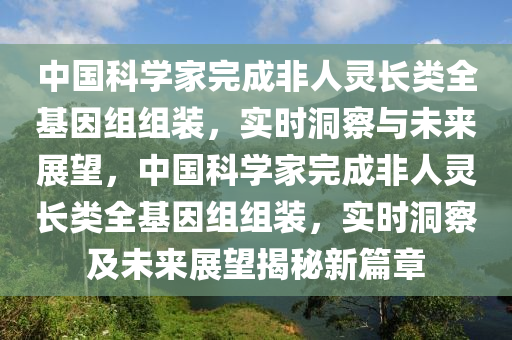 中國(guó)科學(xué)家完成非人靈長(zhǎng)類(lèi)全基因組組裝，實(shí)時(shí)洞察與未來(lái)展望，中國(guó)科學(xué)家完成非人靈長(zhǎng)類(lèi)全基因組組裝，實(shí)時(shí)洞察及未來(lái)展望揭秘新篇章