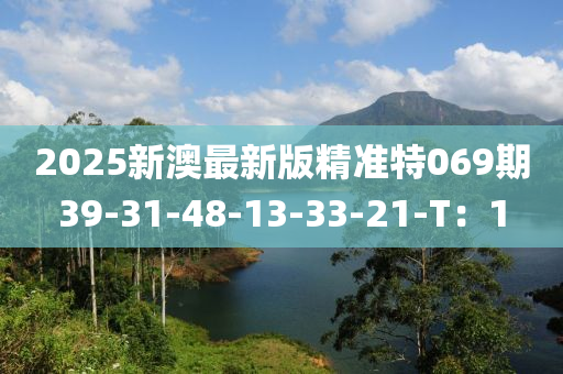 2025新澳最新版精準(zhǔn)特069期39-31-48-13-33-21-T：1